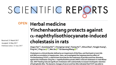 Herbal medicine Yinchenhaotang protects against α-naphthylisothiocyanate-induced cholestasis in rats