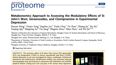 Metabonomics Approach to Assessing the Modulatory Effects of St John’s Wort, Ginsenosides, and Clomipramine in Experimental Depression