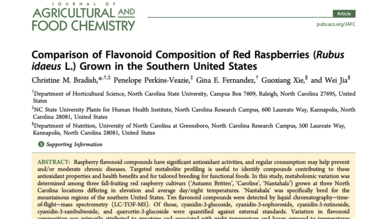  Comparison of Flavonoid Composition of Red Raspberries (Rubus idaeus L.) Grown in the Southern United States