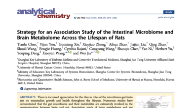 Strategy for an Association Study of the Intestinal Microbiome and Brain Metabolome Across the Lifespan of Rats