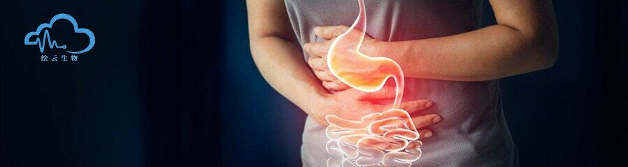 揭开胆汁反流触发胃癌的背后机制